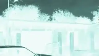 Strange Creatures and Cryptids Caught on Tape