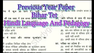 Previous Year Question Paper | Bihar Tet | CTET| UPTET | REET | MPTET | DSSSB | Hindi Pedagogy