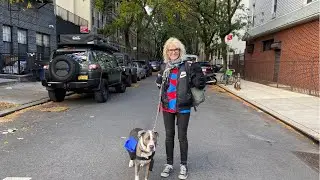 NYC LIVE Walking Greenpoint, Brooklyn to Support Vinyl Record Stores Part 2 of Walk November 3, 2021
