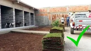 VEJA COMO FICOU O CANIL APÓS COLOCAR GRAMA