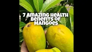 7 Amazing Health Benefits of Mangoes #shorts #immunity #vitamins #mangoes