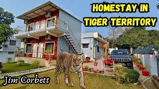 Live in Tiger Territory in this budget Hotel in Jim Corbett National Park | Homestay in Jim Corbett