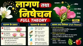 Pollination in Plants | Self & Cross Pollination | परागण के प्रकार | Fertilization Process in Hindi|