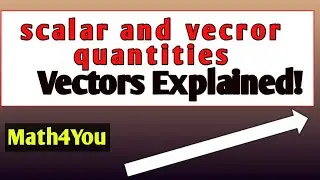 Vectors explained || scalar and vector quantities