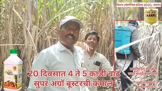 सुपर अग्रॉ बूस्टरची कमाल 20 दिवसात 4 ते 5 कांडी वाढ 
