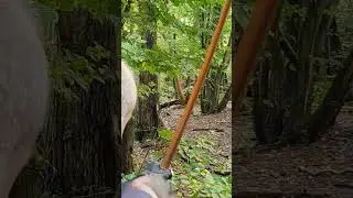 3d Ugly Mutant Toad Target - English Longbow.