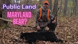 I Didn't Expect to See THIS Bear in Maryland | Bonus Bear Recipe!