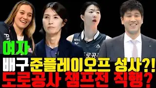[여자배구] 역대 최초 준플레이오프 성사?! 흥국생명 5연승 돌풍! V리그 여자부 완벽 분석