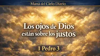 🛐✨LOS OJOS DE DIOS ESTAN SOBRE LOS JUSTOS📖 1 Pedro 3|🌅 Maná del Cielo Diario 🙋🏻‍♀️Pastora Nancy G.