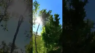 #bannugull #nature #insta360 #360camera #shortvideo #shorts