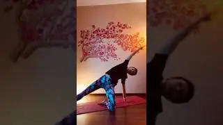 Йога 1️⃣ Расслабляющая вечерняя практика. Студия Танца Rakassa, г. Днепр. Тренер Борисовская Елена