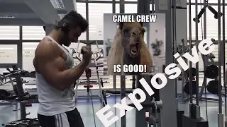 Camel Crew Arm Workout