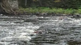 Judge C.R. Magney State Park