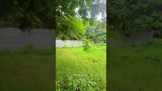 Open Plot for Sale | Dammaiguda | Ayyappa Colony | AssetNX