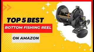 ✳️ Best Bottom Fishing Reel on Amazon  💖 Top 5 Tested | Buying Guide