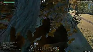 Ashes of Creation   BOTS Server PELUNE 2
