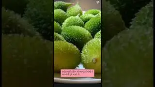 Benefits of eating spiny gourd #ytshorts #viral #trending #takshlifes #benefits #spinygourd #health