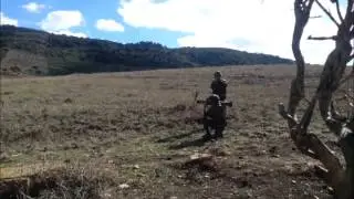 bueno c90