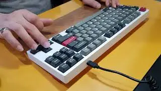 Foxlab F80SE | Holy Panda switch | Soundtest | DBMK