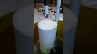 protein skimmer diy needle wheel 3d print