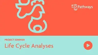 Life-Cycle Analysis - Seminar | PATHWAYS