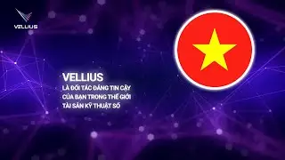 Hướng Dẫn Cơ Hội Vellius