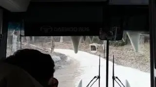 에버랜드 사파리 전면영상
