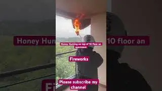 Killing the Bees for Honey harvest,  Insane ! | He set a blaze the apartment to Honey hunting