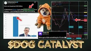 $DOG Catalyst with FED Rate Cut 🤑 (3 Days left Kraken F1🏁)