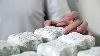Ferme de la Famille Lerat (Orne) / Trèfle du Perche, dégustation et accords avec Fabien Degoulet