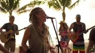 Reggae Caribeño Chill 💚 Perfecto para la Tarde