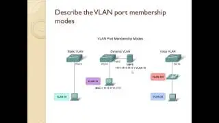 Introduction to VLANs in Urdu/Hindi