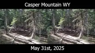 Casper Mountain May 31st, 2025