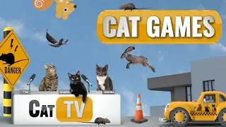 КОТ-игры | Приключения в кошачьем городе &mdash; мир кошачьих фантазий! 😺🌃 | Кошачье ТВ, подборка