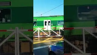 Winter Irish Railway Crossing 🚅❄