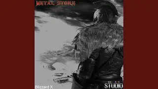 Blizzard X