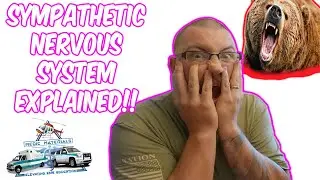 Sympathetic Nervous System Explained | EMT Neurology | EMT Anatomy | Medic Materials