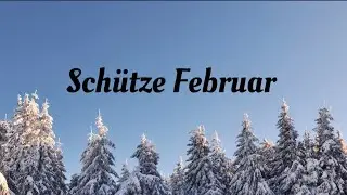 Schütze Februar - Auf dem richtigen Weg 