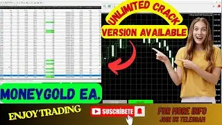 MONEYGOLD EA MT4 | Full Setup Tutorial | No DLL | Updated 2025 | Best Forex EA | Bot | Indicator|