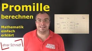 Promille berechnen | Mathematik - einfach erkl&auml;rt | Lehrerschmidt