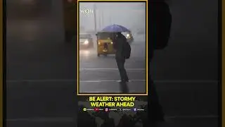 Orange & Yellow Alerts Issued in Tamil Nadu | Rain, Thunderstorm Warning | WION