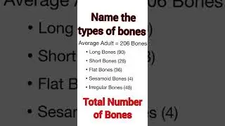 Total Number of Body Bone l Name the Types of Bones l Paramedical notes l nursing notes l