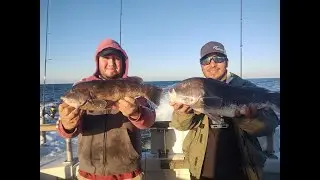 The Last Drop was the Ticket!! Fishing Northeast Reef Donkeys!! #blackfish #blackfishing #jigfishing