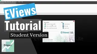EViews 11 Student Version Tutorial: Importing Stock Data, Graphing Data, Creating Groups and Series