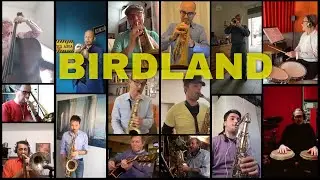 Patchwork Style Band - Birdland