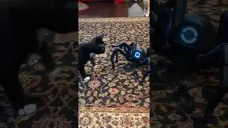 Суперкрутые гаджеты, которые сделают вас умнее 😎 #шорты
