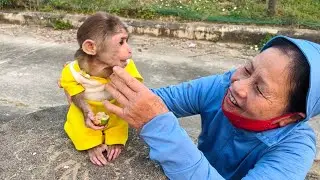 monkey Xuka makes everyone around her feel loved and enjoy playing with her.