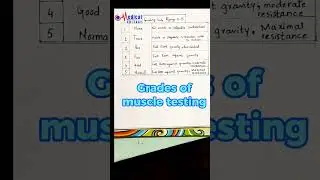 Are You Using Muscle Testing Grades Correctly? | by dr nida ilahi