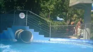 Passeio entre amigos para o parque aquático Recanto da Natureza em Antonio Carlos - Santa Catarina