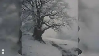 X1LENCE - Snowfall (official visual)
